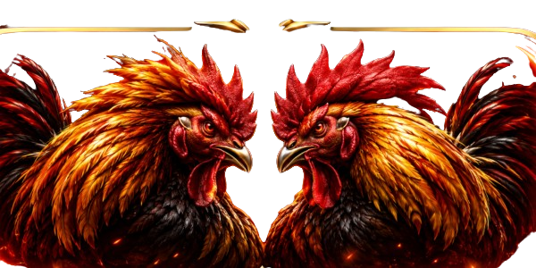 SABUNG